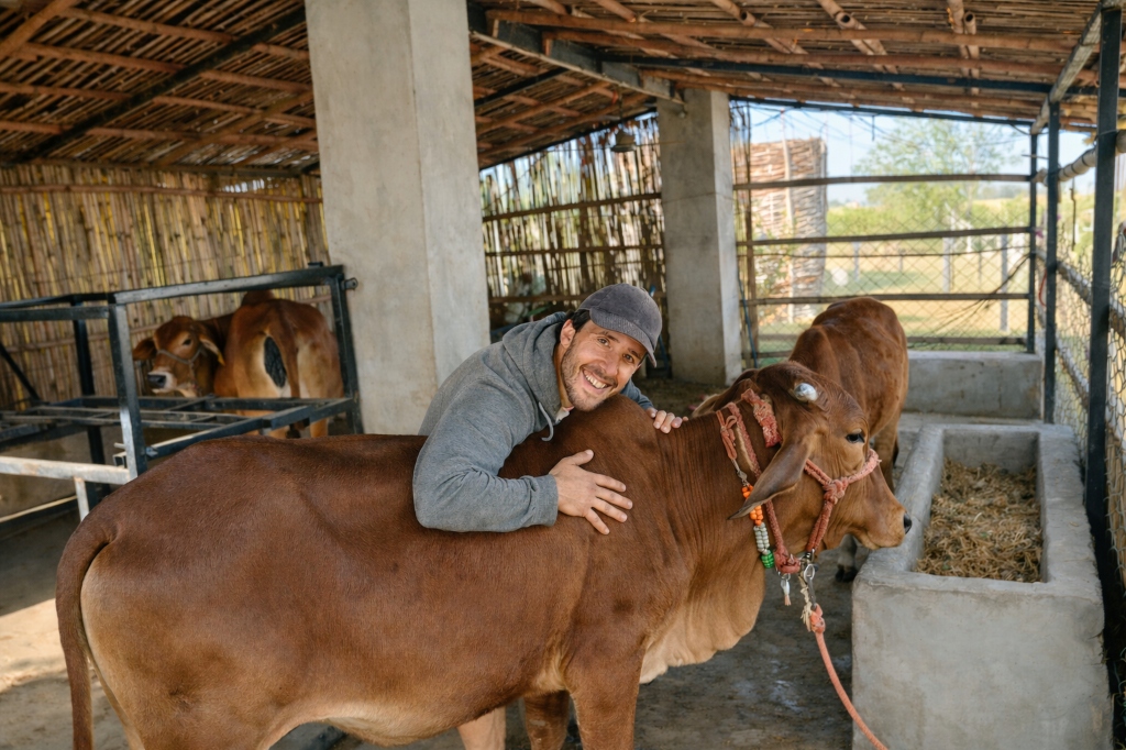 Man hugging a brown cow with eyes closed