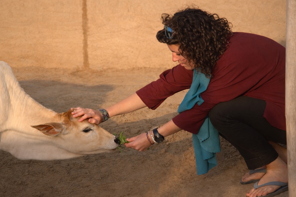 Woman affectionately petting a young calf
