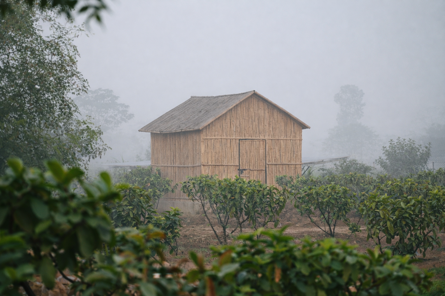 Small rustic hut in a foggy field